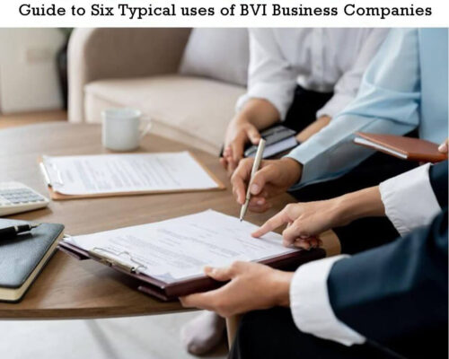 Guide to Six Typical uses of BVI Business Companies